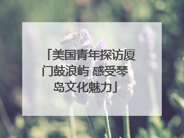 美国青年探访厦门鼓浪屿 感受琴岛文化魅力
