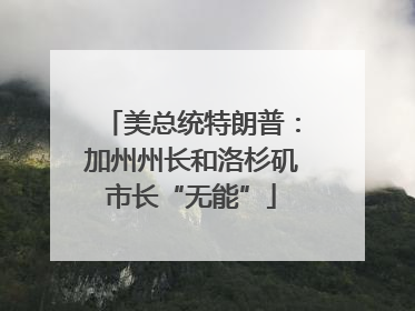 美总统特朗普：加州州长和洛杉矶市长“无能”