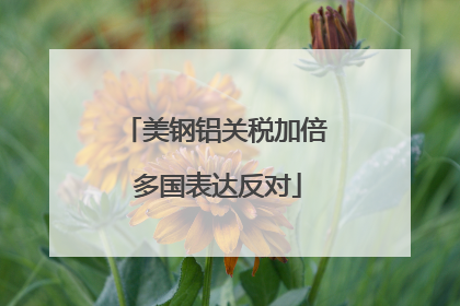 美钢铝关税加倍 多国表达反对