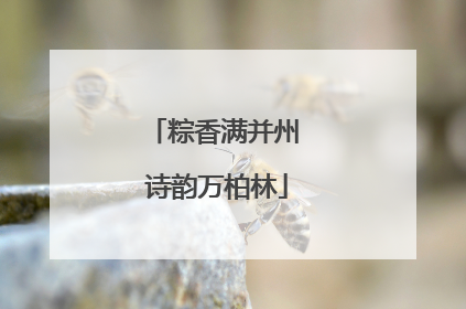 粽香满并州 诗韵万柏林