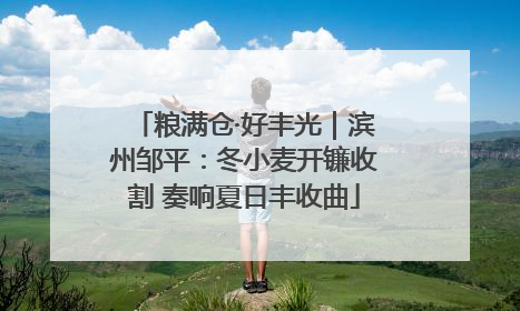 粮满仓·好丰光｜滨州邹平：冬小麦开镰收割 奏响夏日丰收曲