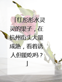 红彤彤水灵灵的果子，在杭州街头大量成熟，看着诱人但能吃吗？
