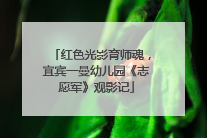 红色光影育师魂，宜宾一曼幼儿园《志愿军》观影记