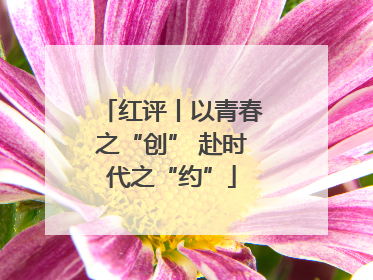 红评丨以青春之“创” 赴时代之“约”