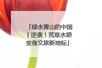绿水青山的中国丨逆袭！荒草水塘变身文旅新地标
