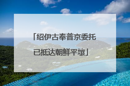 绍伊古奉普京委托已抵达朝鲜平壤