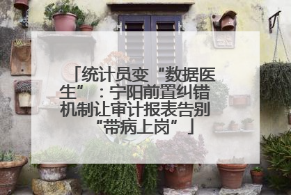 统计员变“数据医生”：宁阳前置纠错机制让审计报表告别“带病上岗”