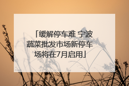 缓解停车难 宁波蔬菜批发市场新停车场将在7月启用
