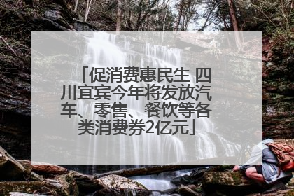促消费惠民生 四川宜宾今年将发放汽车、零售、餐饮等各类消费券2亿元