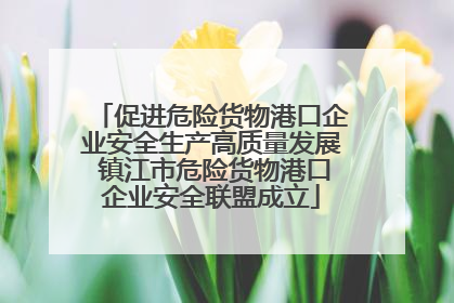 促进危险货物港口企业安全生产高质量发展 镇江市危险货物港口企业安全联盟成立