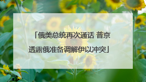 俄美总统再次通话 普京透露俄准备调解伊以冲突