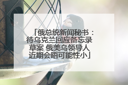 俄总统新闻秘书：待乌克兰回应备忘录草案 俄美乌领导人近期会晤可能性小