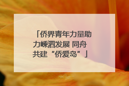 侨界青年力量助力嵊泗发展 同舟共建“侨爱岛”