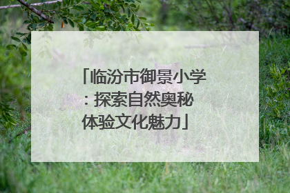 临汾市御景小学：探索自然奥秘 体验文化魅力