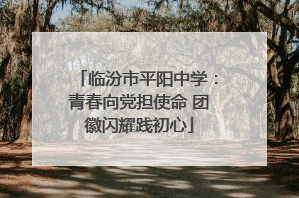 临汾市平阳中学：青春向党担使命 团徽闪耀践初心