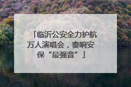 临沂公安全力护航万人演唱会，奏响安保“最强音”
