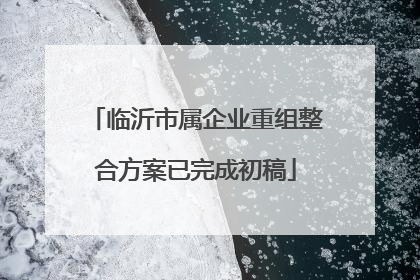 临沂市属企业重组整合方案已完成初稿