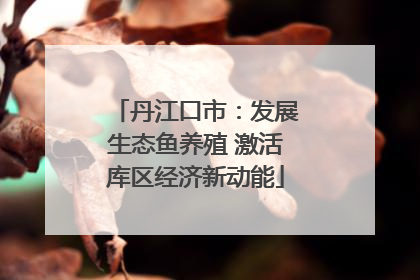 丹江口市：发展生态鱼养殖 激活库区经济新动能