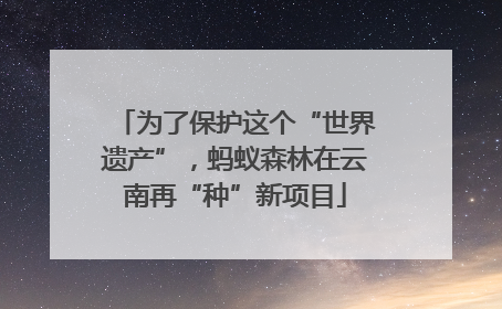 为了保护这个“世界遗产”，蚂蚁森林在云南再“种”新项目