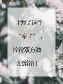 为了这个“案子”，控辩双方激烈辩论