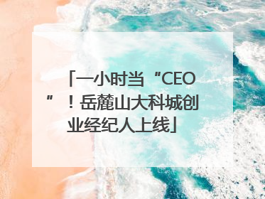 一小时当“CEO”！岳麓山大科城创业经纪人上线