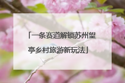 一条赛道解锁苏州望亭乡村旅游新玩法