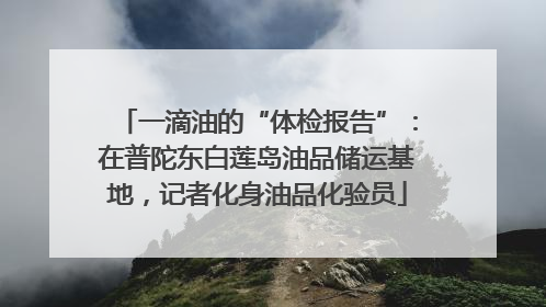 一滴油的“体检报告”：在普陀东白莲岛油品储运基地，记者化身油品化验员