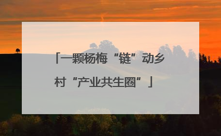 一颗杨梅“链”动乡村“产业共生圈”