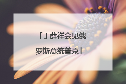 丁薛祥会见俄罗斯总统普京