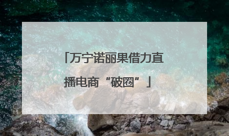万宁诺丽果借力直播电商“破圈”