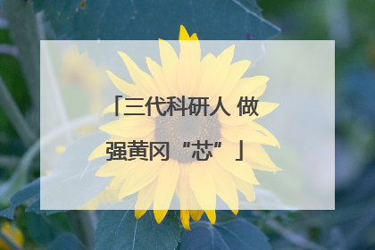 三代科研人 做强黄冈“芯”