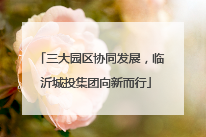 三大园区协同发展，临沂城投集团向新而行