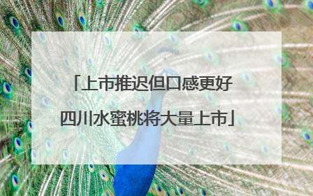 上市推迟但口感更好 四川水蜜桃将大量上市
