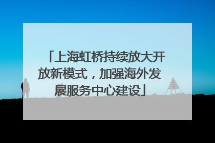 上海虹桥持续放大开放新模式，加强海外发展服务中心建设