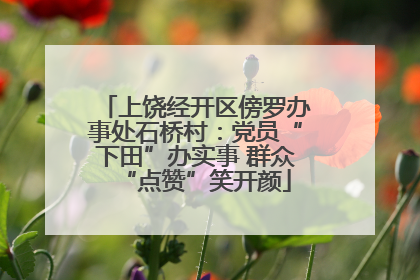 上饶经开区傍罗办事处石桥村：党员“下田”办实事 群众“点赞”笑开颜