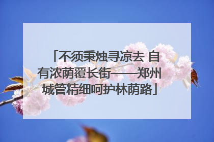不须秉烛寻凉去 自有浓荫覆长街——郑州城管精细呵护林荫路