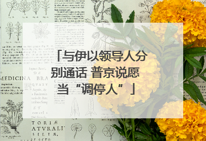 与伊以领导人分别通话 普京说愿当“调停人”