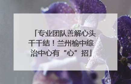专业团队善解心头千千结！兰州榆中综治中心有“心”招