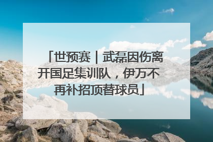 世预赛｜武磊因伤离开国足集训队，伊万不再补招顶替球员
