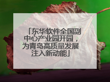 东华软件全国副中心产业园开园，为青岛高质量发展注入新动能