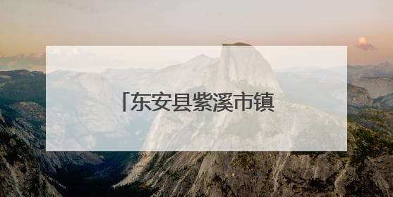 东安县紫溪市镇：政府暖心送考 护航学子逐梦路