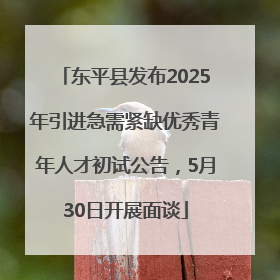 东平县发布2025年引进急需紧缺优秀青年人才初试公告，5月30日开展面谈