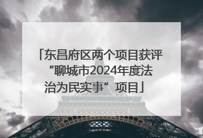东昌府区两个项目获评“聊城市2024年度法治为民实事”项目