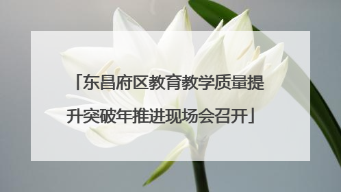 东昌府区教育教学质量提升突破年推进现场会召开