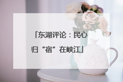 东湖评论：民心归“宿”在峡江