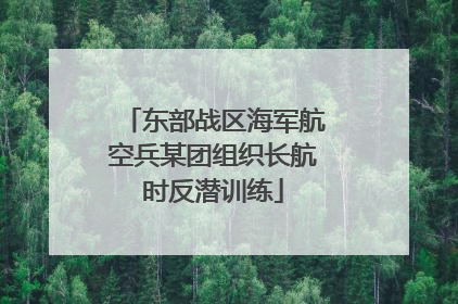 东部战区海军航空兵某团组织长航时反潜训练