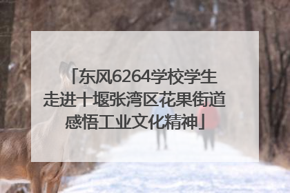 东风6264学校学生走进十堰张湾区花果街道感悟工业文化精神