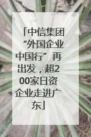 中信集团“外国企业中国行”再出发，超200家日资企业走进广东