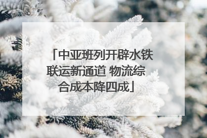 中亚班列开辟水铁联运新通道 物流综合成本降四成