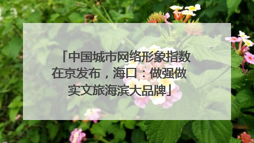 中国城市网络形象指数在京发布，海口：做强做实文旅海滨大品牌